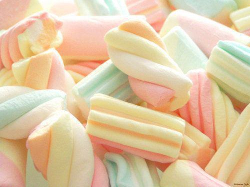 マシュマロ好き集まれー！