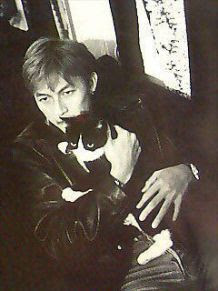 イケメンと猫を貼るトピ