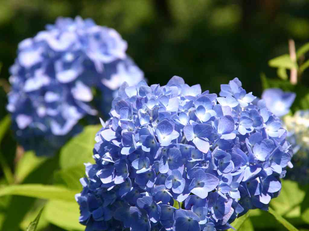 寒色系の画像を貼るトピ