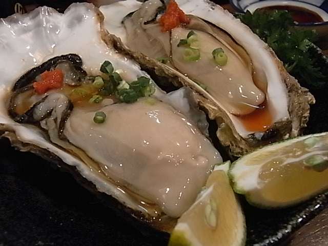 まったり居酒屋開店～12店舗目