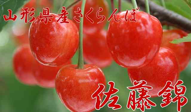 山形県あるある