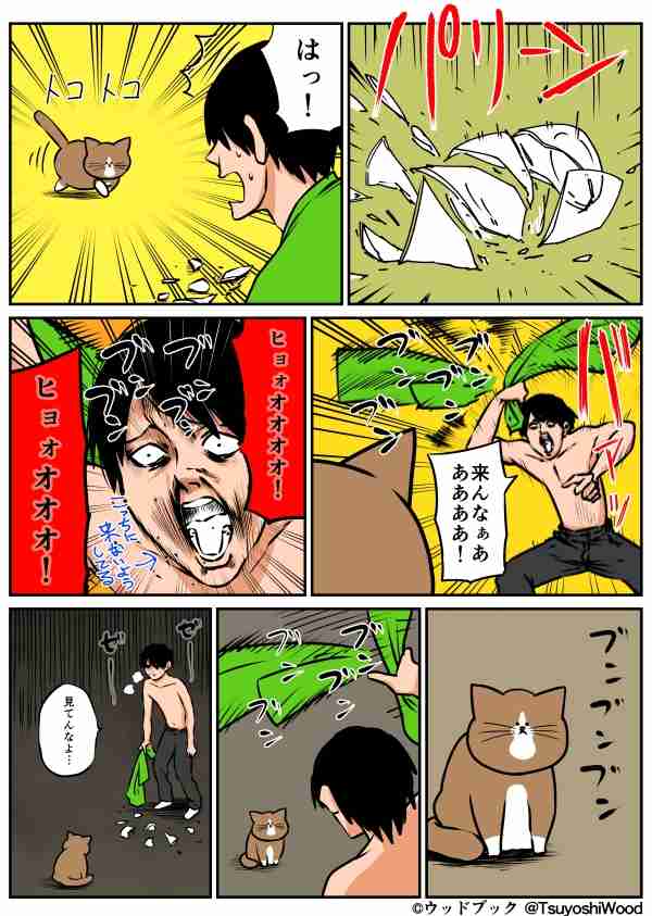 猫のいる生活あるある