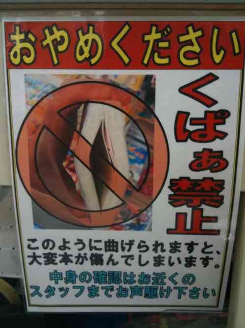 【閲覧注意】…じゃなかった画像