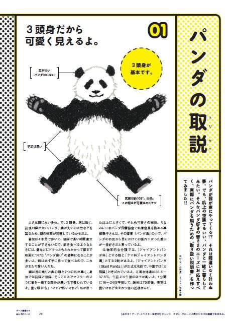 芸能人の取説！