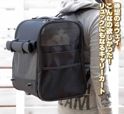 ペットの防災対策