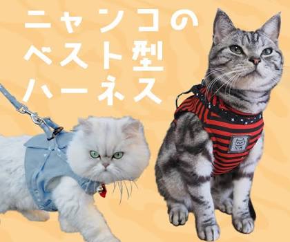ペットの防災対策