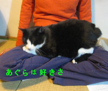 猫が膝から降りてくれない→猫のために作った足型ネコベッドが話題に