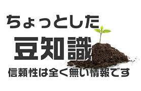 料理の豆知識