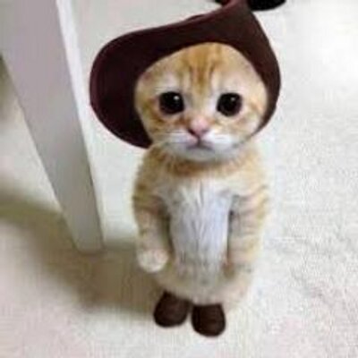 ガルちゃんをやってる男性を見た事ある人