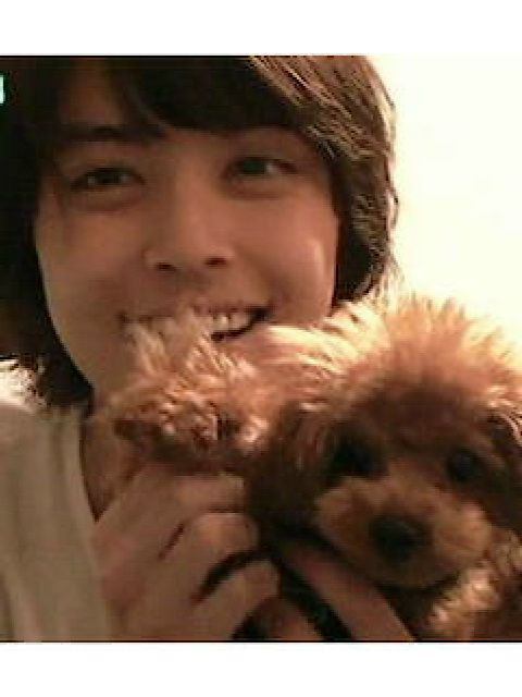 犬顔だと思う芸能人