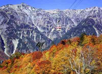 今年の紅葉どこに見に行きたいですか?