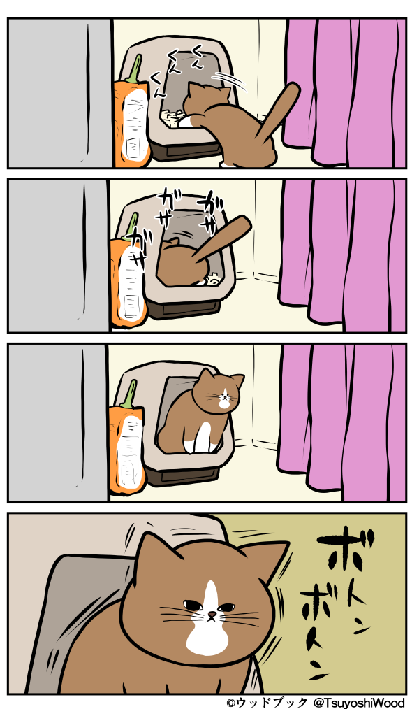 猫のいる生活あるある