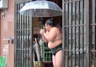 大相撲好きな人語りませんか