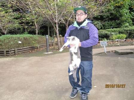 イケメンと猫を貼るトピ