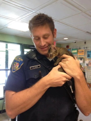 イケメンと猫を貼るトピ