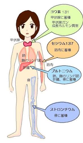 放射能を気にしている人の食事