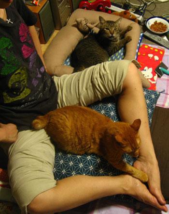 猫が膝から降りてくれない→猫のために作った足型ネコベッドが話題に
