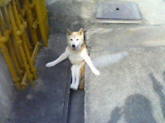 ハマり症の人