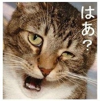 小雪のトンデモ“転身計画”を暴露…モデル卒業後は「悩めるママを救いたい」