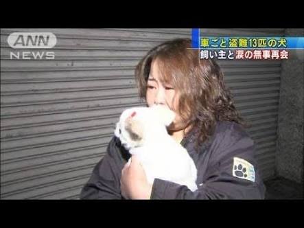 ペットの防災対策