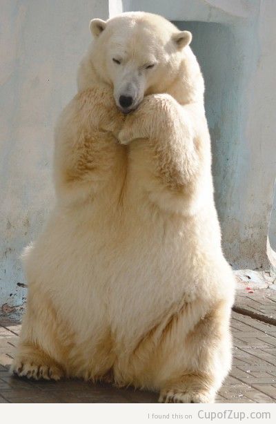 素敵な決めポーズの画像をください