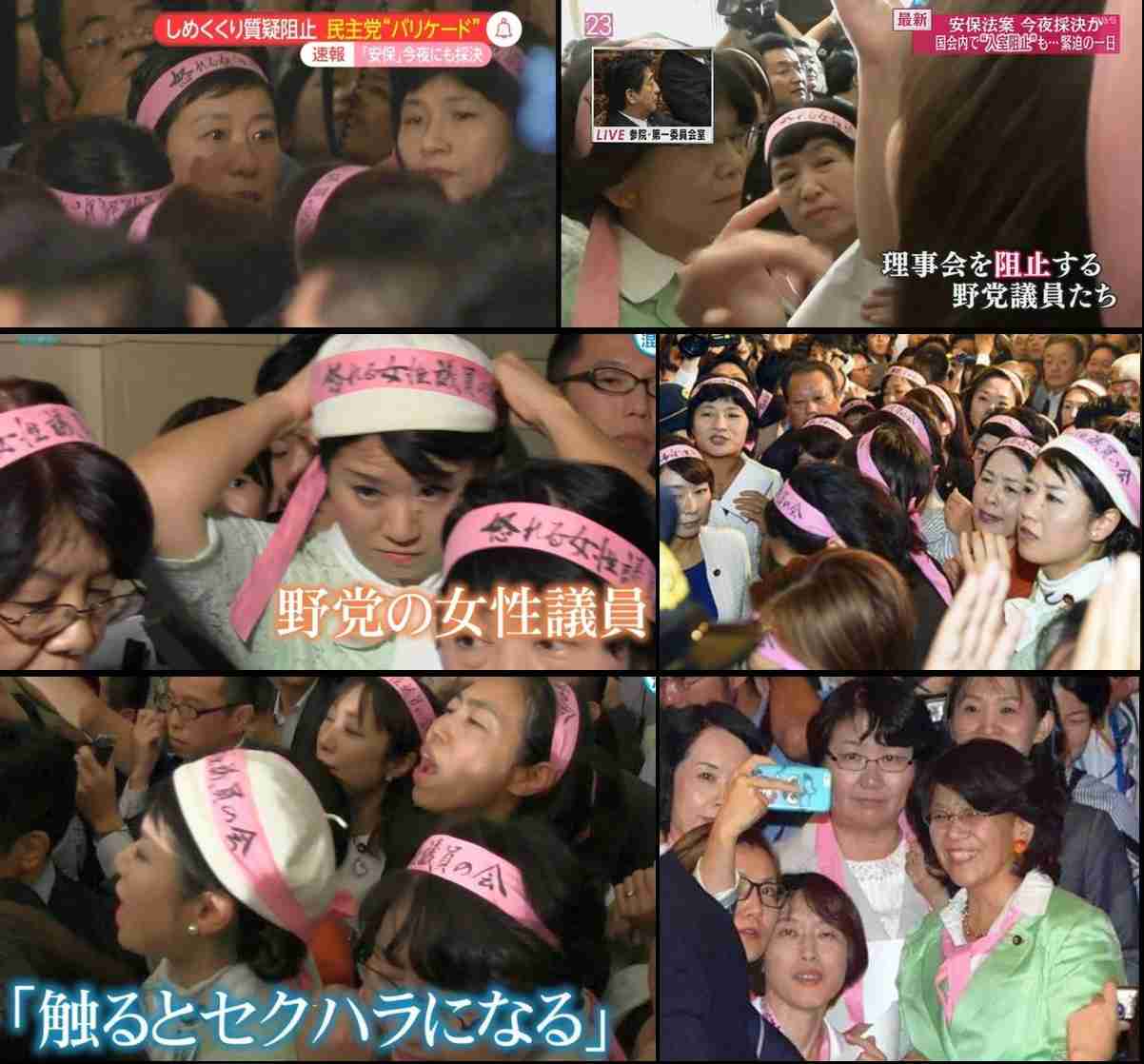 【安保採決】自民大沼瑞穂議員が民主津田弥太郎議員に引き倒されてるシーンが酷い(動画有)