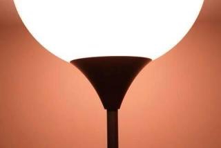 【閲覧注意】…じゃなかった画像