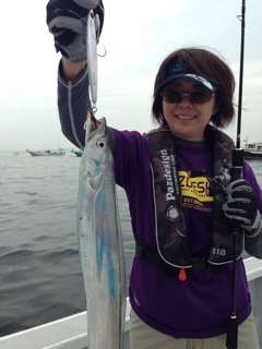 青物、真鯛などオフショア便 | アイランドクルーズ釣果速報！