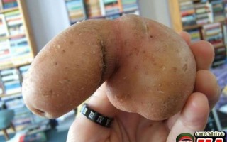 【閲覧注意】…じゃなかった画像