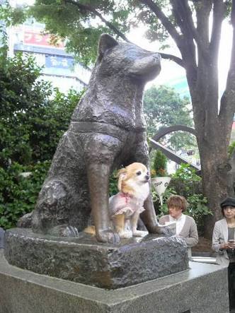 渋谷駅あるある