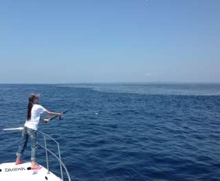 7/11   オフショアシイラ便  えんどう | アイランドクルーズ釣果速報！