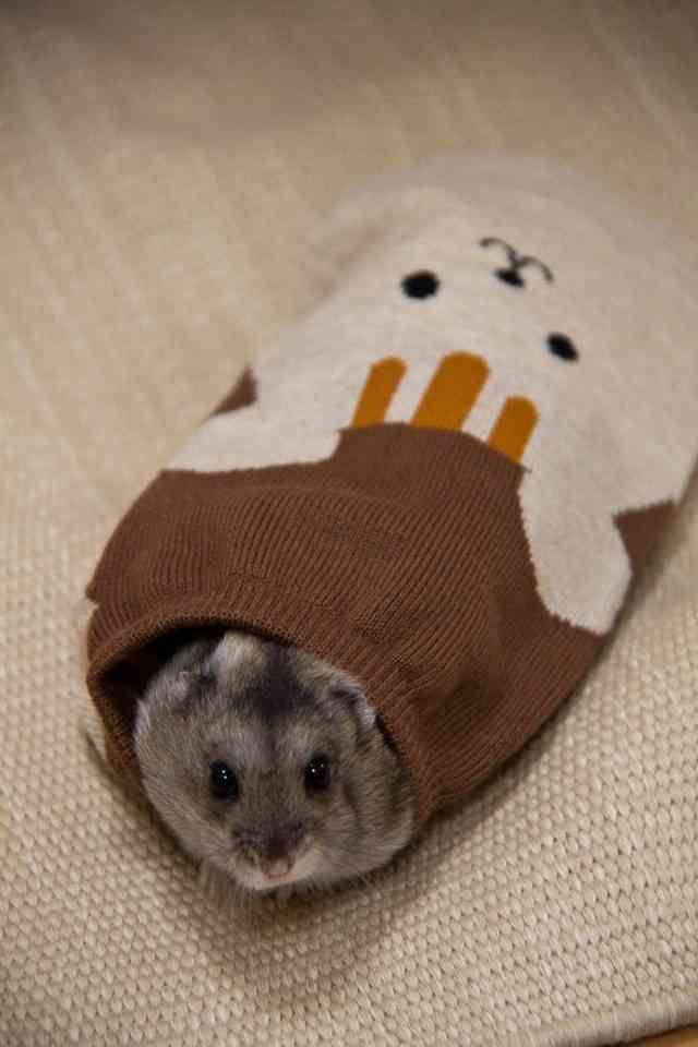 可愛い靴下の画像ください。