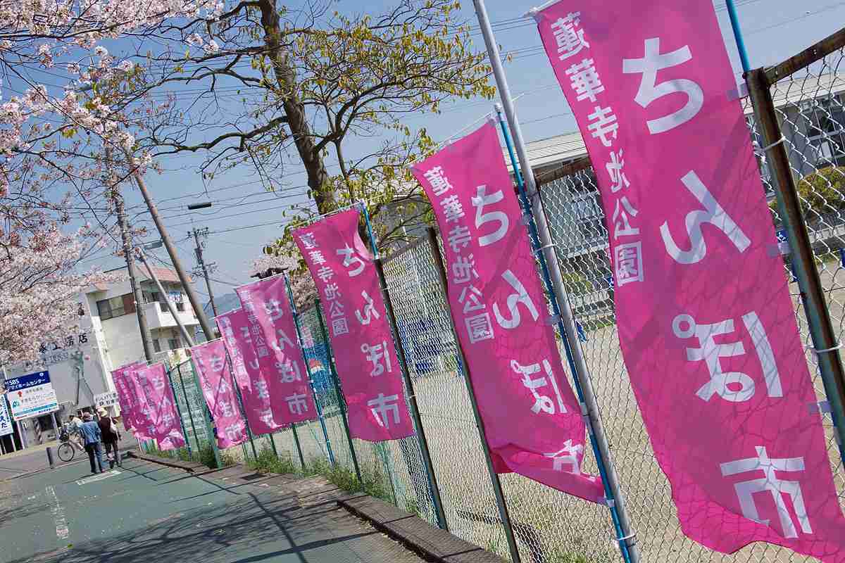 【閲覧注意】…じゃなかった画像