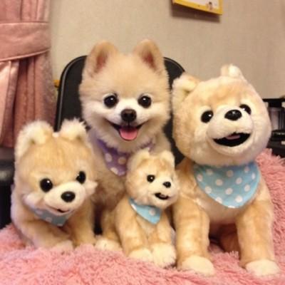 【閲覧注意】…じゃなかった画像