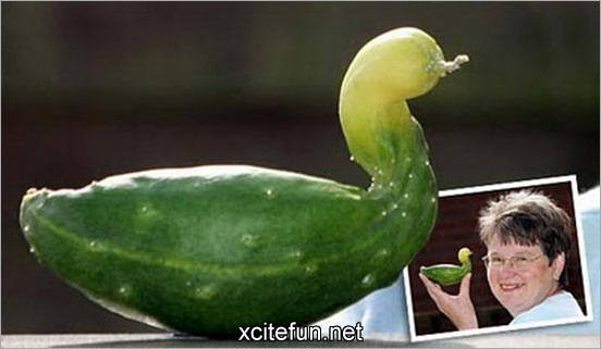 野菜が高い