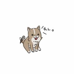 犬 [48055730] | 完全無料画像検索のプリ画像!