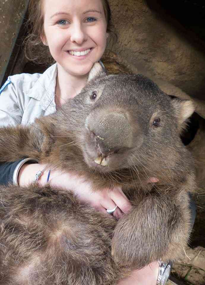 大きな生き物の画像を貼るトピ