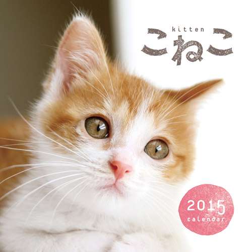 猫嫌いな人 苦手な人集まれ〜