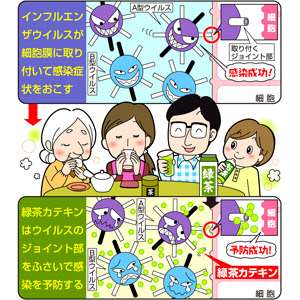 お茶の効果・効能