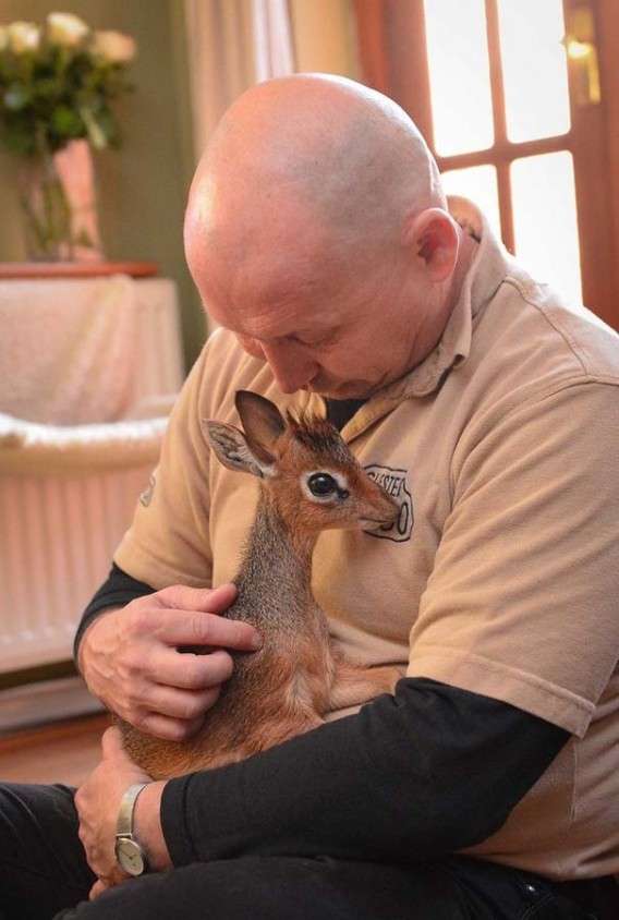 変な動物が好きな人！