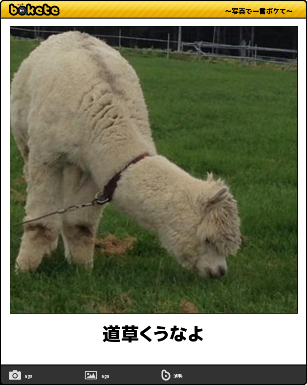酔っ払うと食べてしまうもの