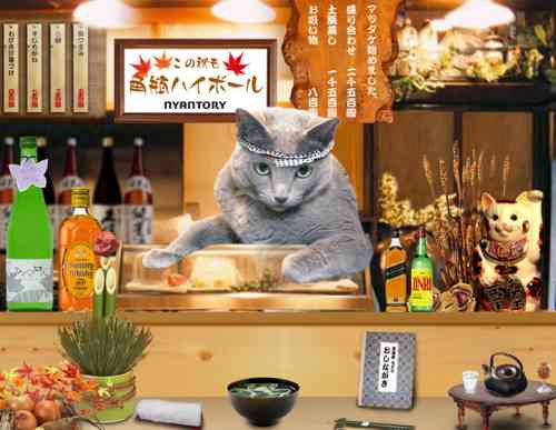 まったり居酒屋開店〜13店舗目