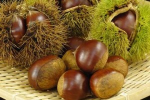 下ごしらえ（下処理）が苦手な食材はありますか？