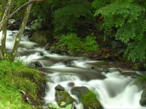 MUSASHI  高音質Ver - YouTube