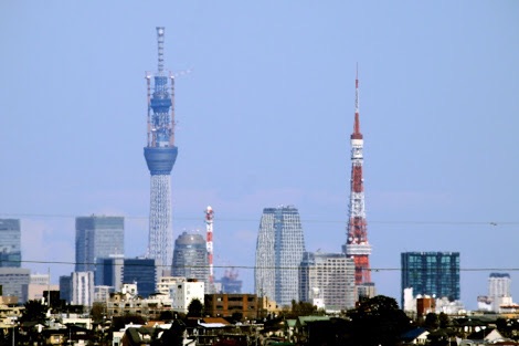 東京はどんな所ですか？