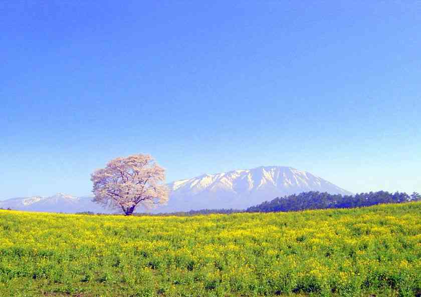 岩手県あるある