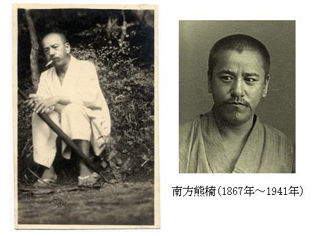 目の保養トピ〈Japanese〉
