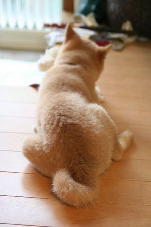 おしゃべりしたい人が立ち寄るトピ