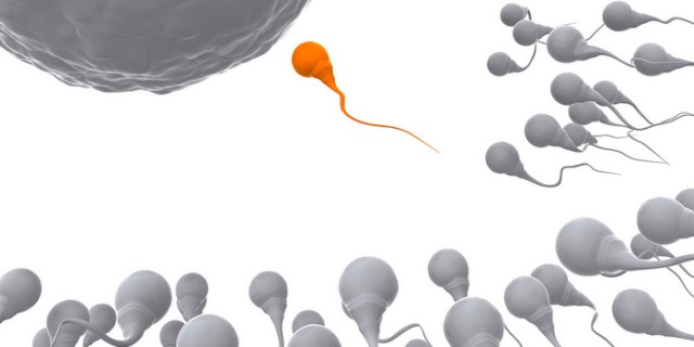 夫の精子で出来た子が夫の子でなかったという珍事が米国で発生