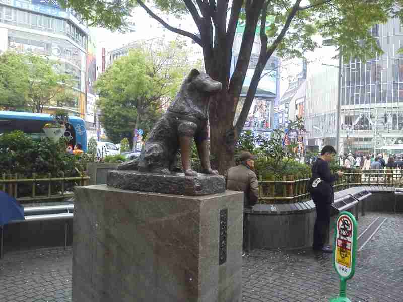 多くの人は行ったことあるだろうけど、自分は行ったことのない場所。